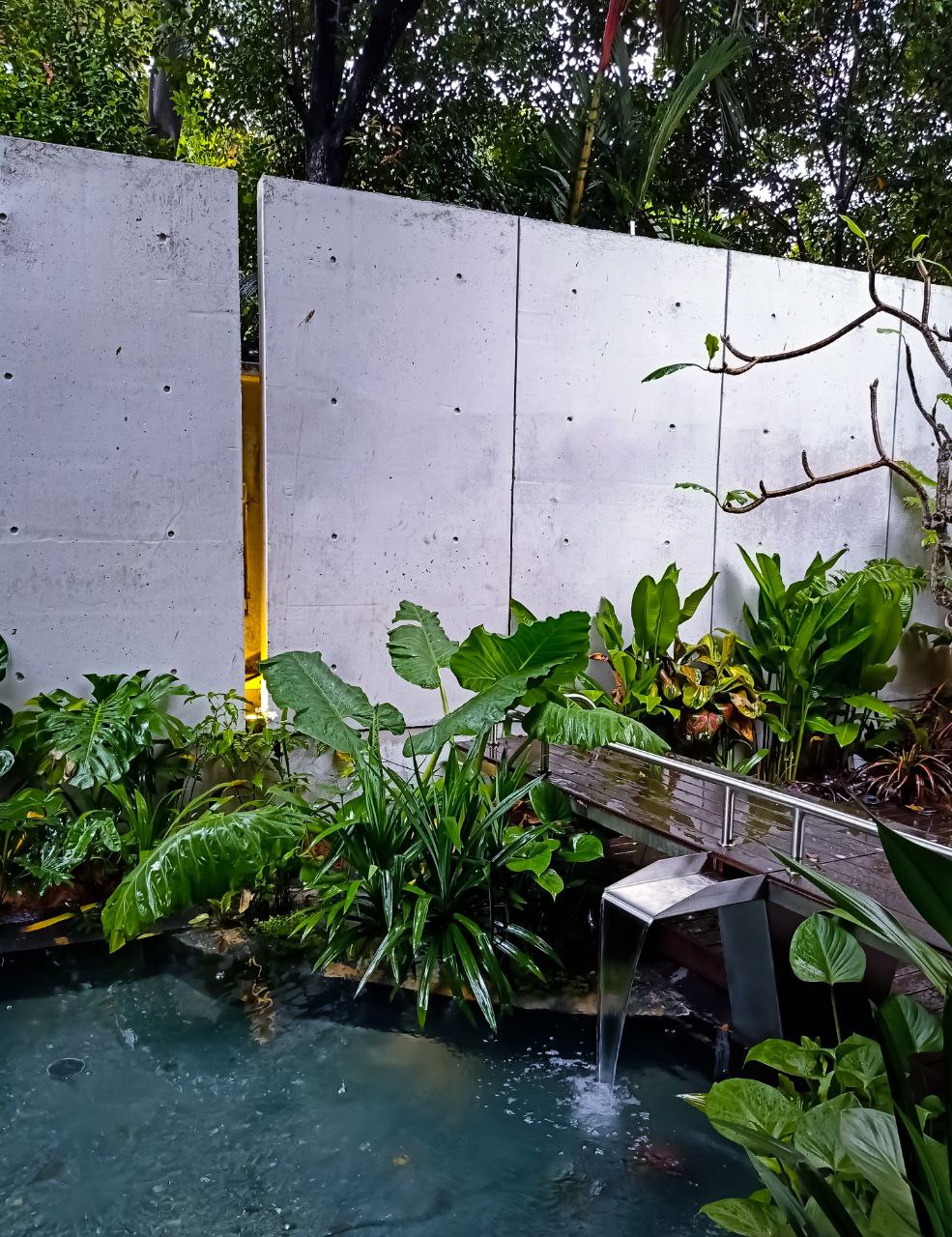 photo1701789584
