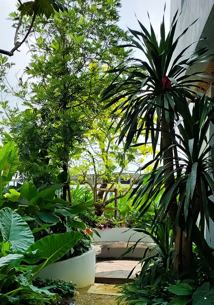 photo1701790332 (1)